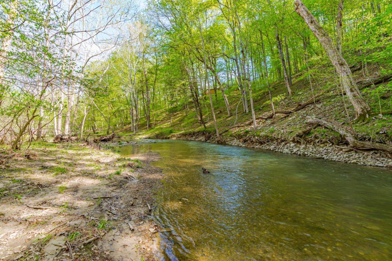 River Access Cabin With Hot Tub, Fire Pit, & Wifi! Morton Grove Ngoại thất bức ảnh